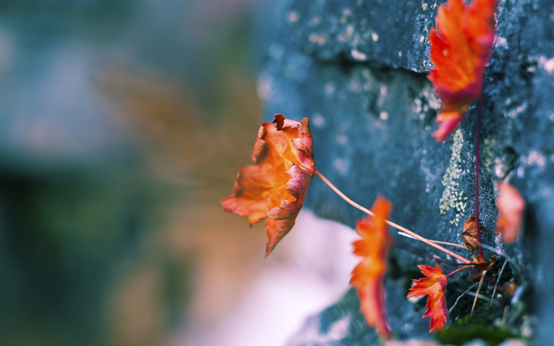 全民健身日系列活动中，篮球成为最受欢迎项目之一，全民健身的活动