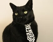 “青春无限”青少年篮球公益培训在广州全面启动，广州青年篮球培训班